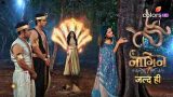 Naagin Serial Cast, Upcoming Story, Twist, News and  Written Updates